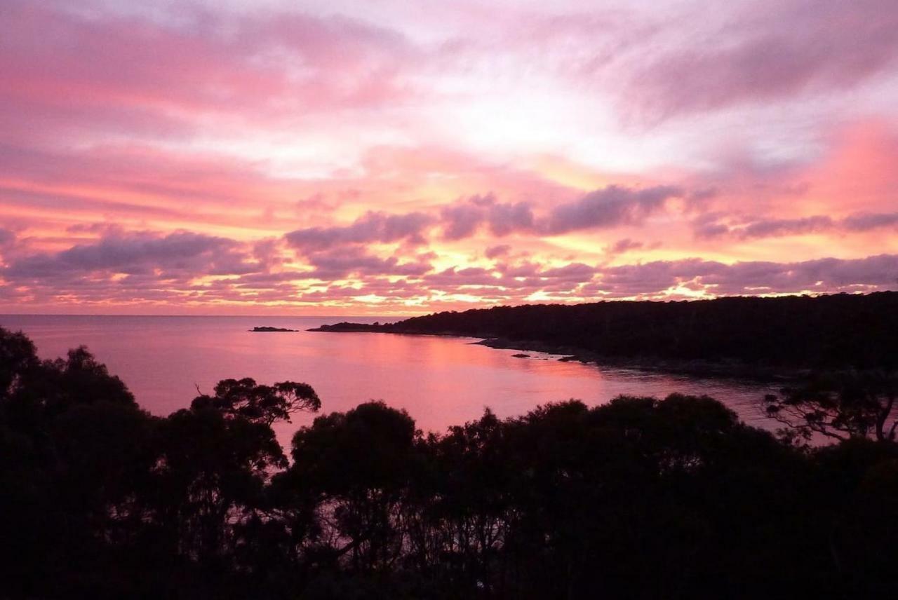 The Loft @ Bay Of Fires Seascape Apartamento Binalong Bay Exterior foto