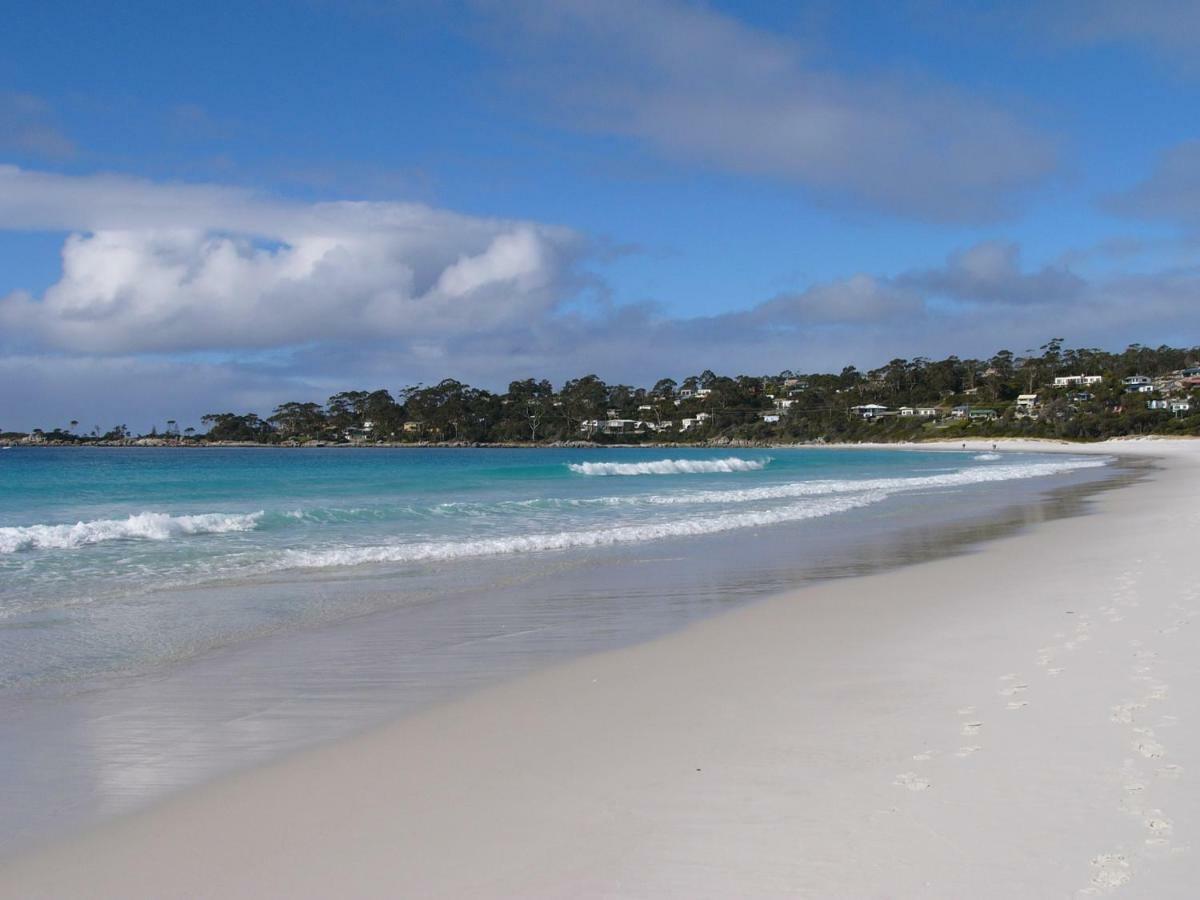 The Loft @ Bay Of Fires Seascape Apartamento Binalong Bay Exterior foto